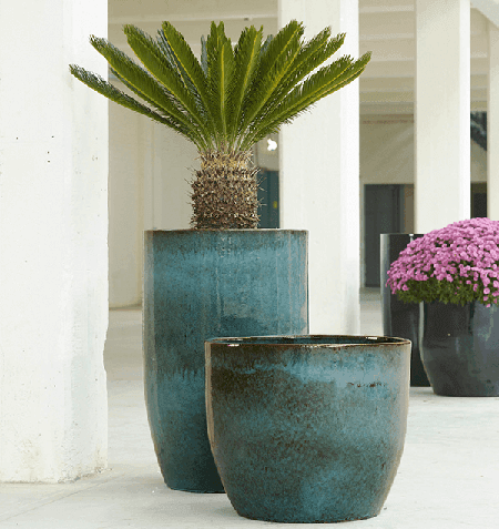 Tuinplanten in pot