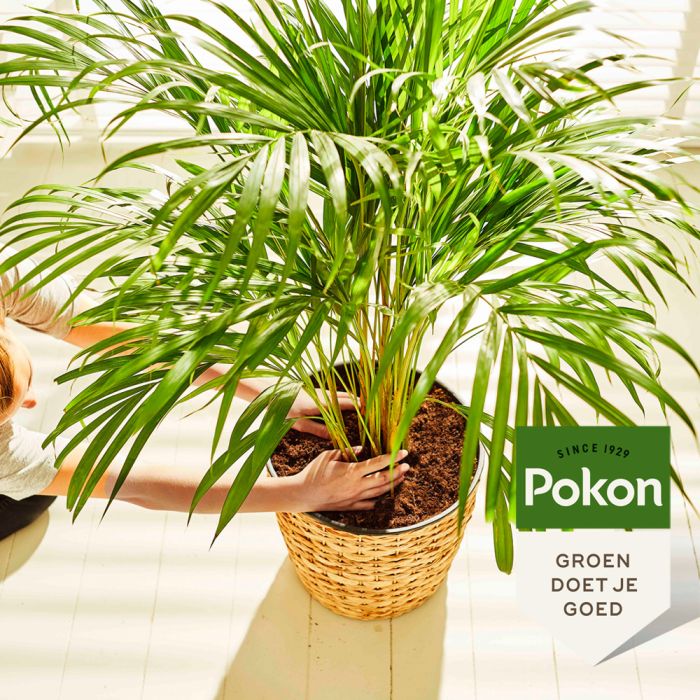 Palm potgrond 10L