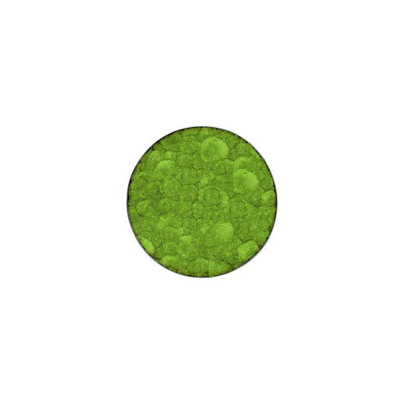 Mosschilderij rond 100% Bolmos Antraciet Frame