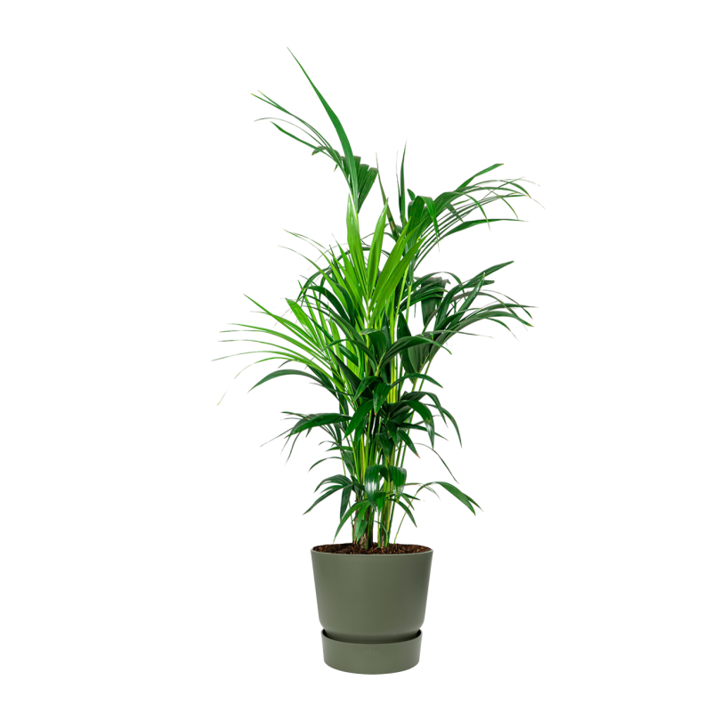 Groene planten in Elho Greenville groen
