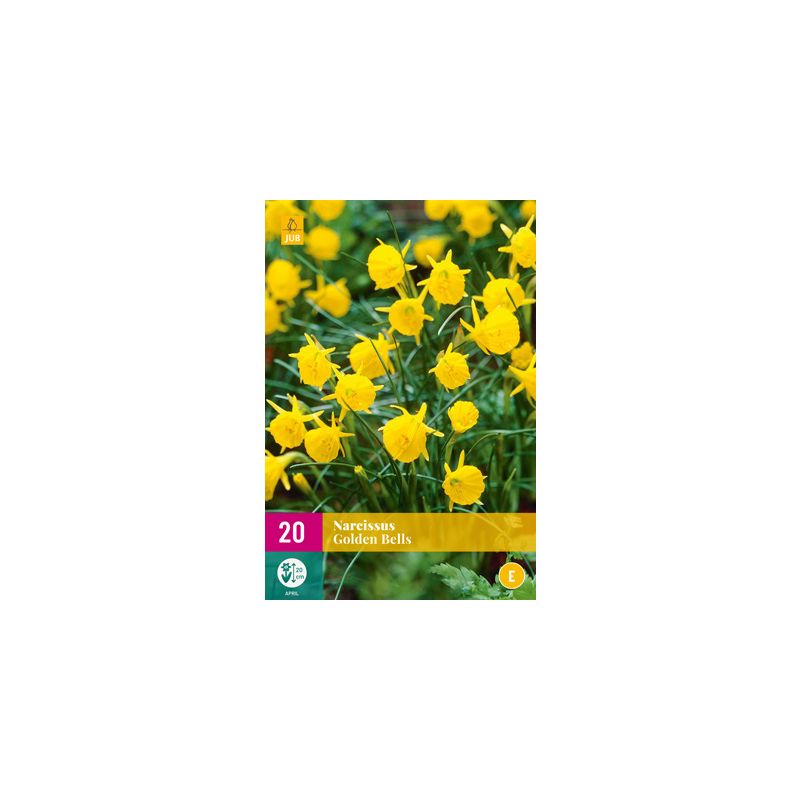 Narcissus Golden Bells - 20 stuks