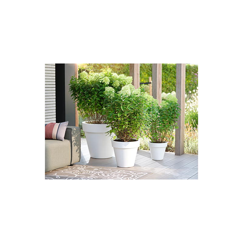 Elho Pure Rond Wit bloempot eenvoudig online bestellen?