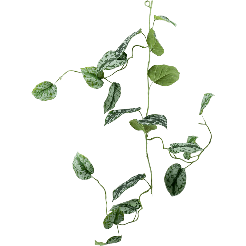 Scindapsus Pictus Garland - kunstplant
