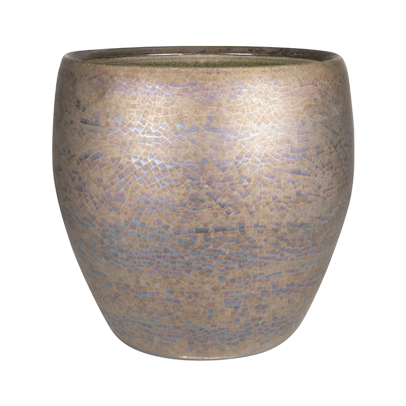 Amora Couple Pearl Luster
