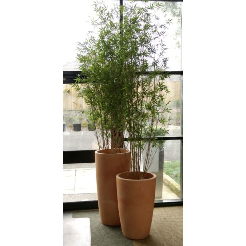 Bamboe Oriental - kunstplant