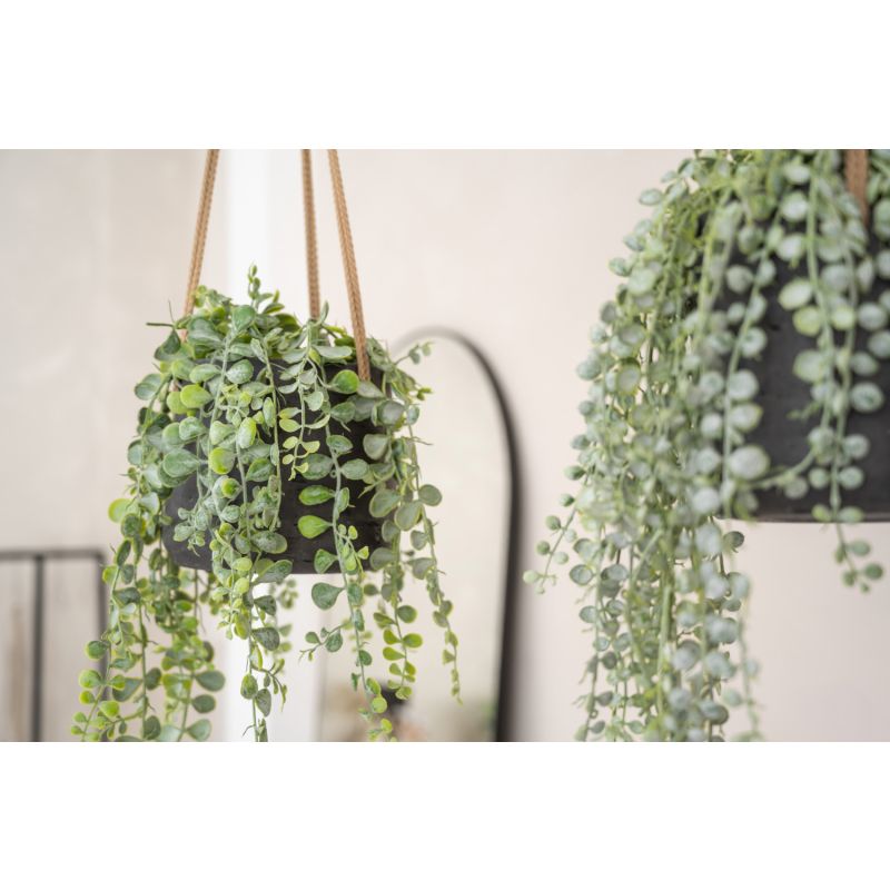 Rugged Patt Hanger Zwart