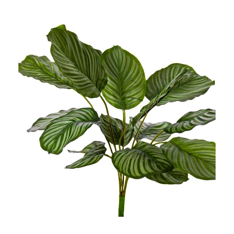 Calathea Orbifolia - kunstplant