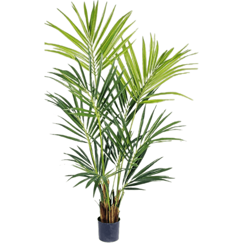 Kentia palm - kunstplant