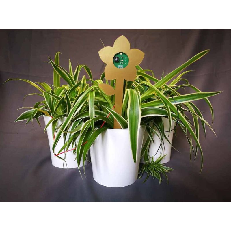 Plant-e. Zelf elektriciteit opwekken!