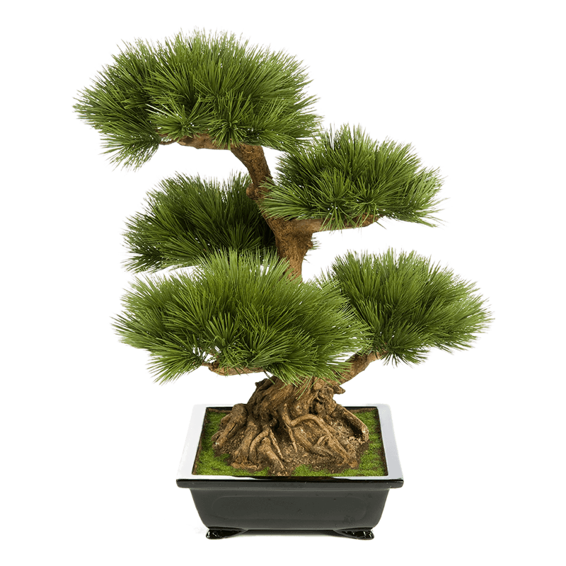 Pinus Bonzai Tree - kunstplant