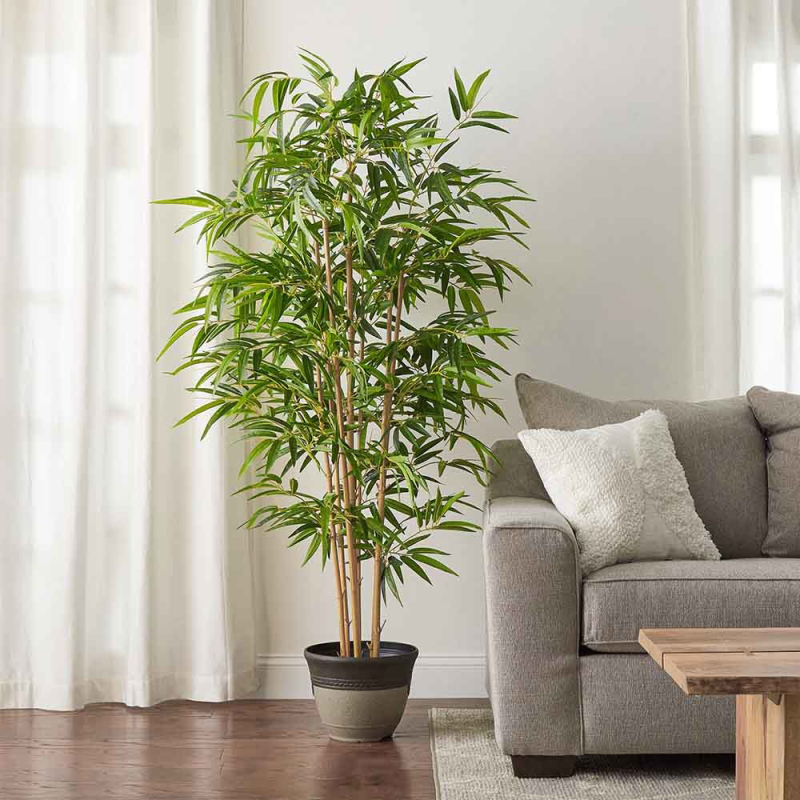 Bamboe Giant XXL- kunstplant