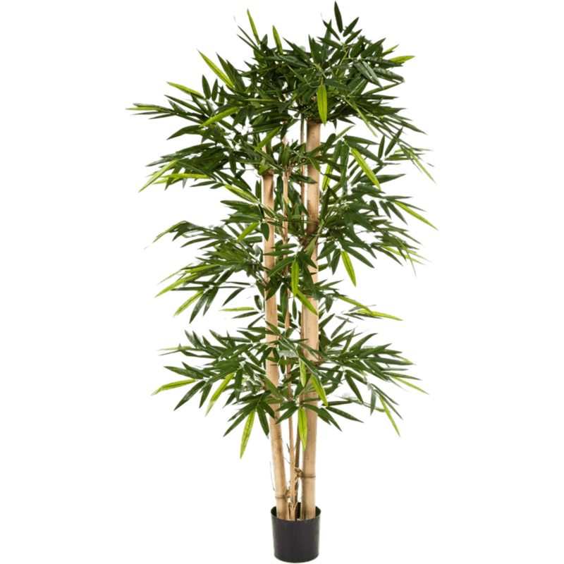 Bamboe Giant XXL- kunstplant