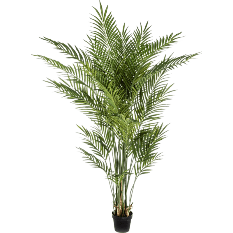 mixer kans Inactief Areca Palm Bush Large kunstplant eenvoudig en snel online bestellen?