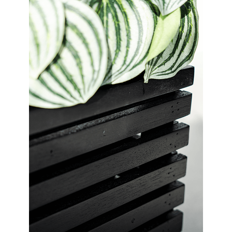 Marrone Box Zwart