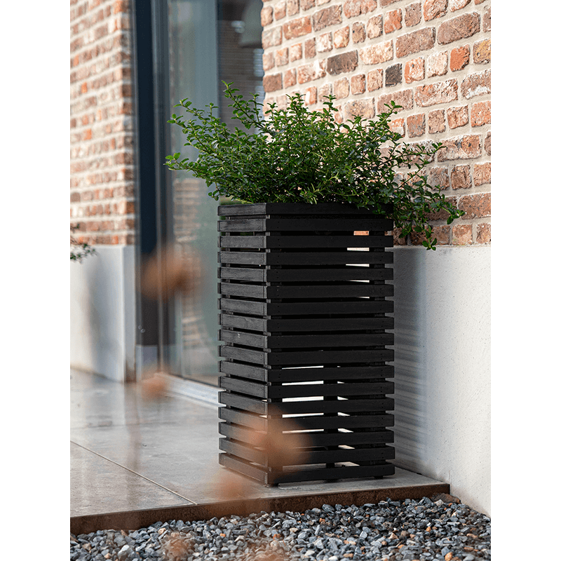 Marrone High Cube Zwart