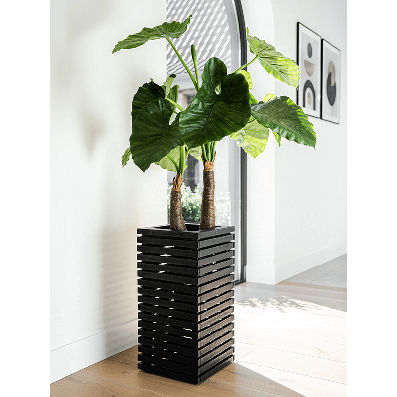 Marrone High Cube Zwart