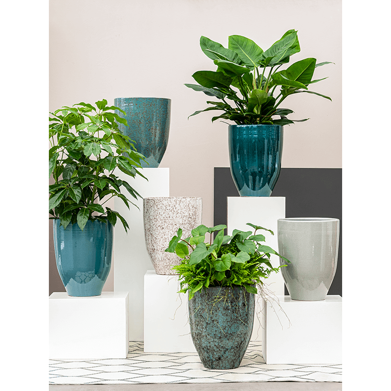 One and Only Reactive Green