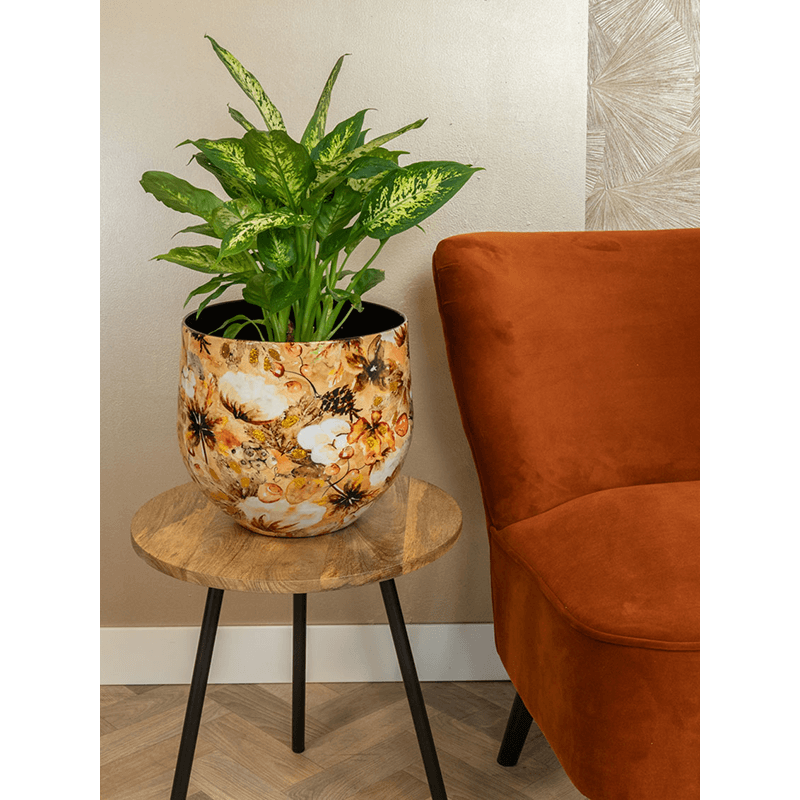 Designed by Lammie Cotton Cream Couple