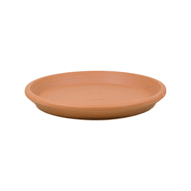 Terracotta schaal