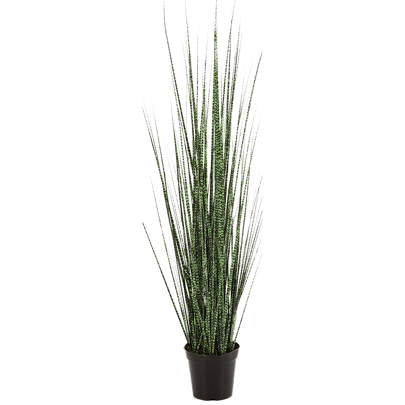 Zebra Gracilis Grass - kunstplant