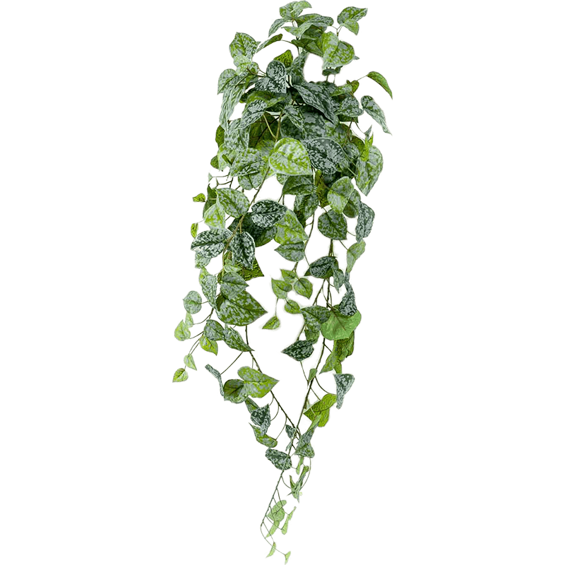 Scindapsus Pictus - kunstplant
