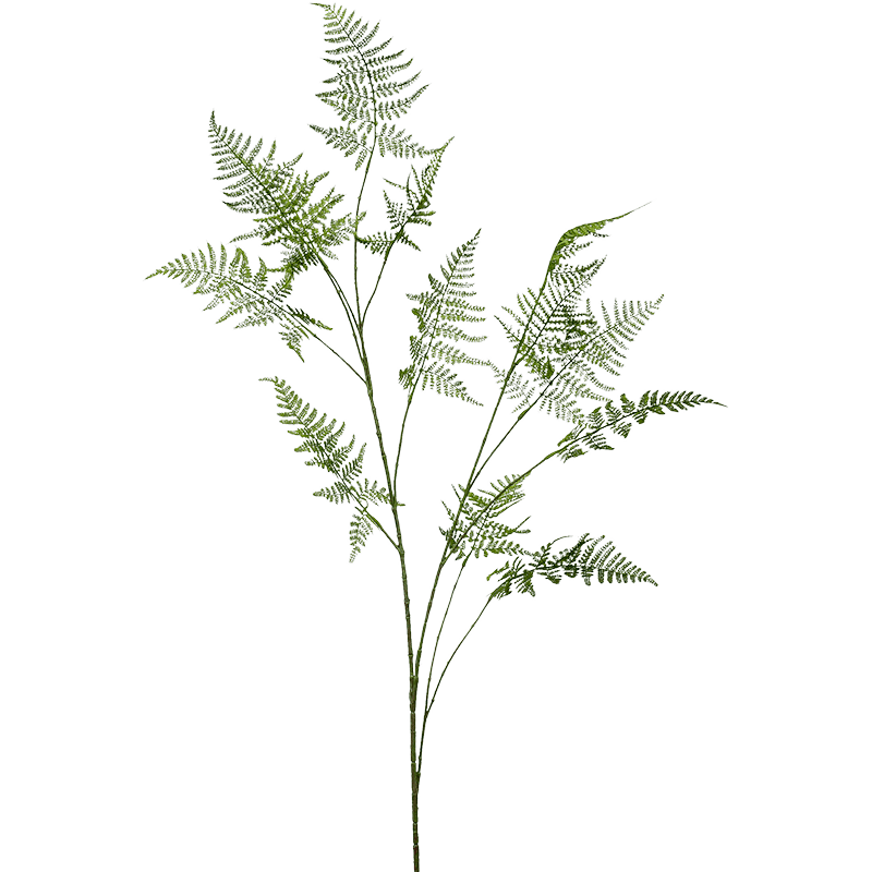 Asparagus - kunstplant