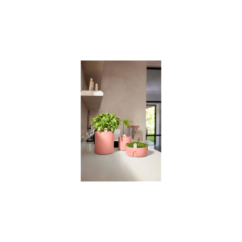 Elho Magic Microgreens Blad Terra