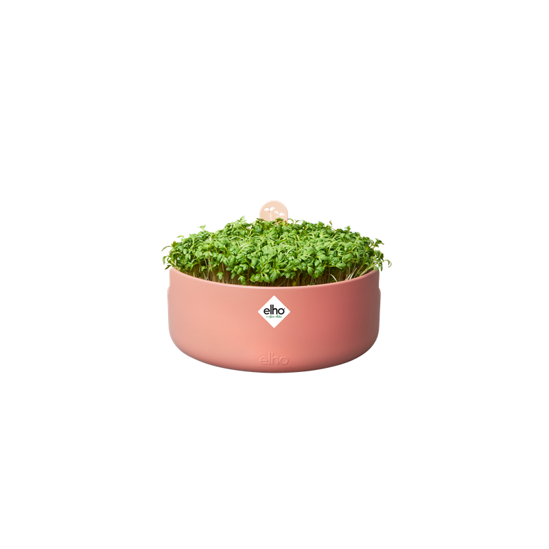 Elho Magic Microgreens Blad Terra