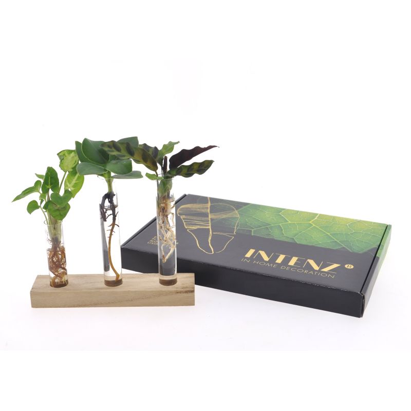 Groene planten brievenbuspakket