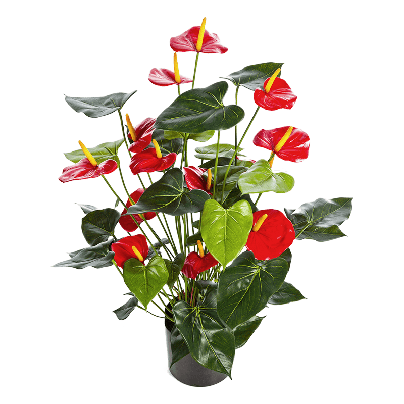 Anthurium de Luxe Red- kunstplant