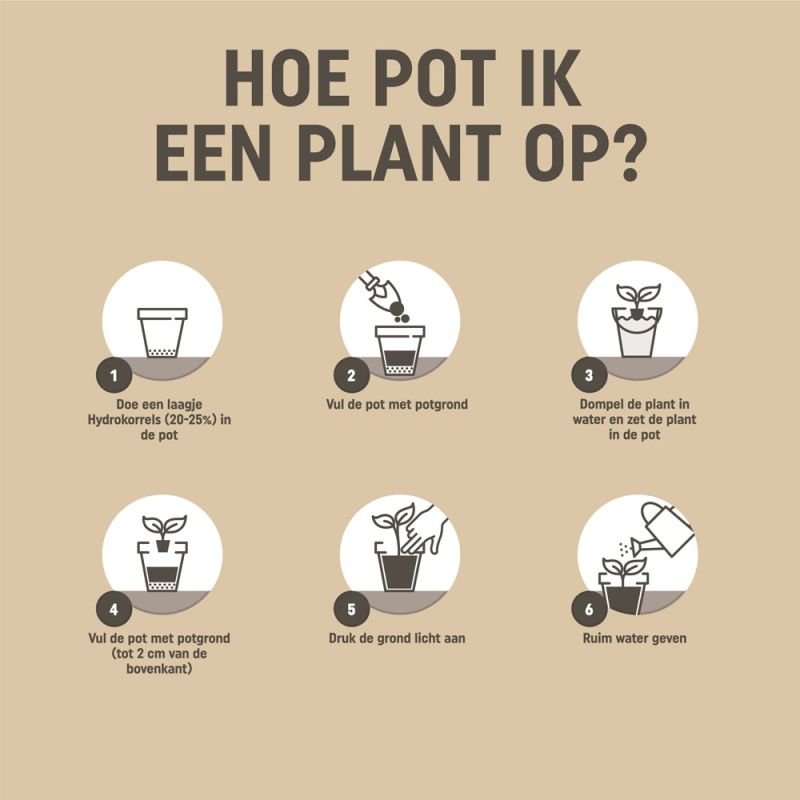 Pokon bio moestuin grond turfvrij 10L