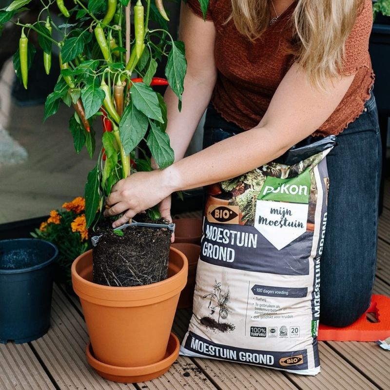 Pokon bio moestuin grond turfvrij 10L