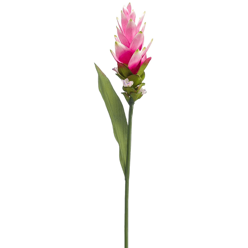 Curcuma - kunstplant