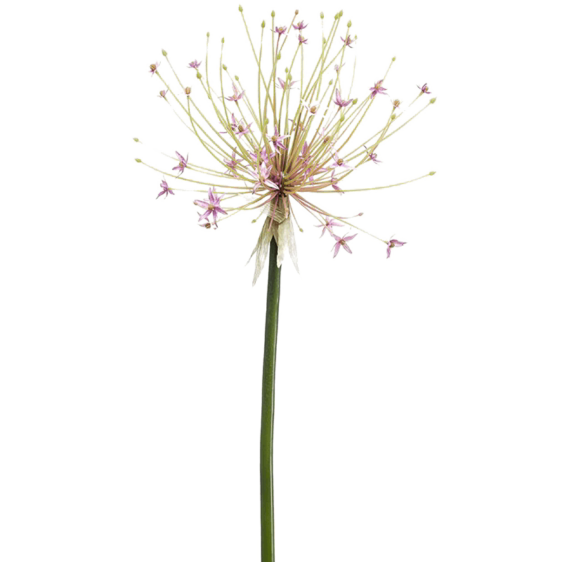 Allium Pink - kunstplant