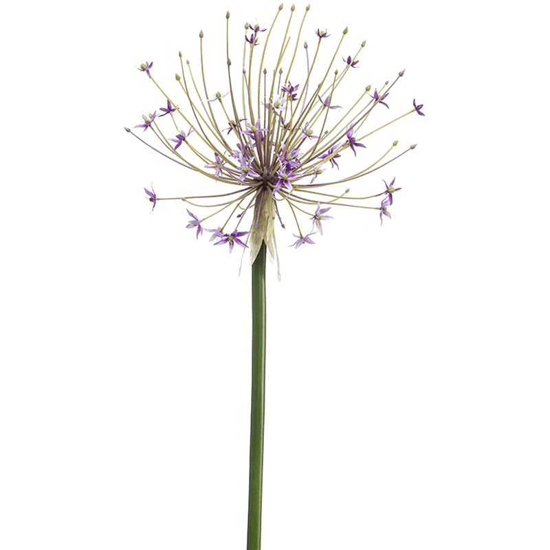 Allium Lilac - kunstplant