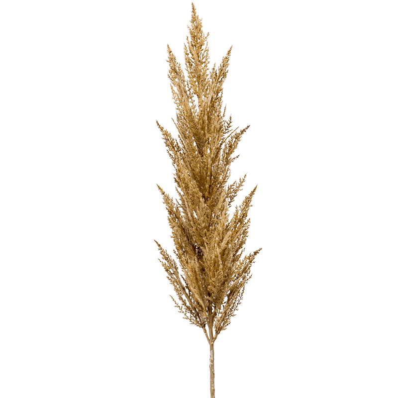Pampas pluim beige - kunstplant