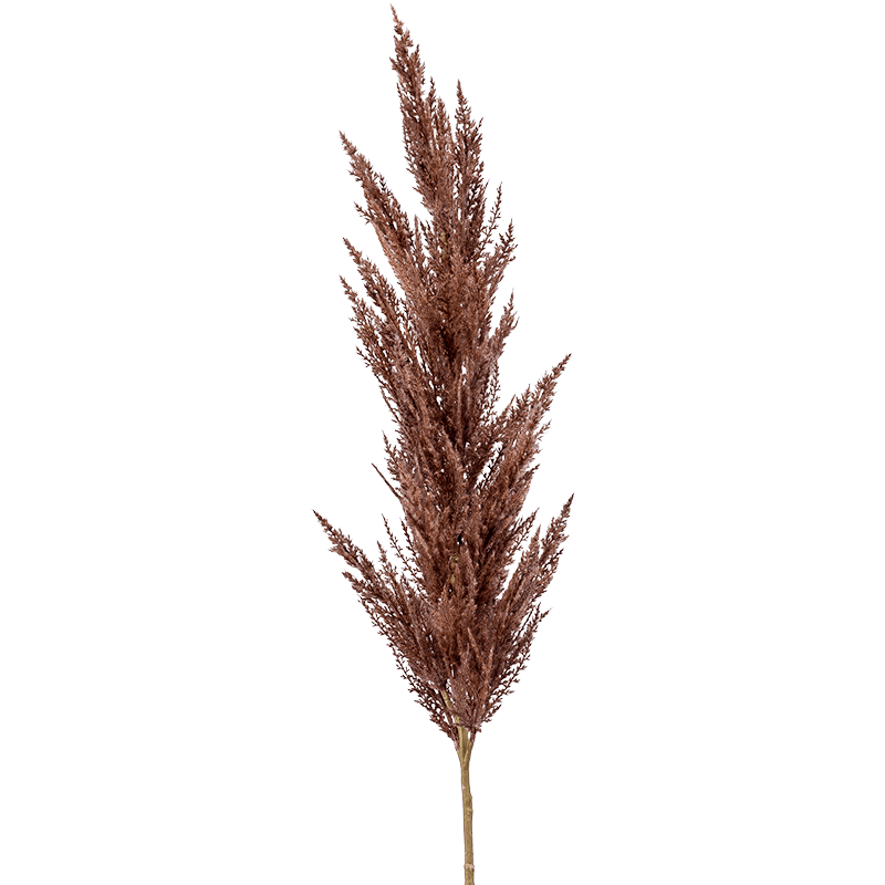 Pampas pluim bruin - kunstplant