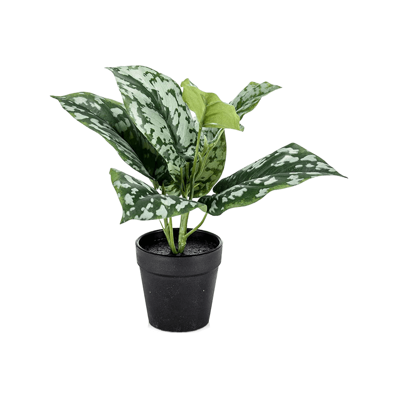 Scindapsus Pictus pot- kunstplant