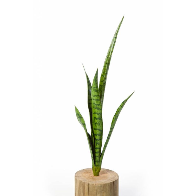 Sansevieria stengel - kunstplant