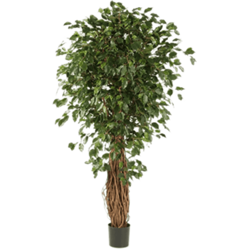 Ficus Liana Exotica - kunstplant