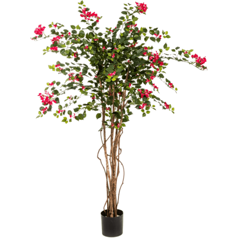 Bouganvillea Nitida - kunstplant