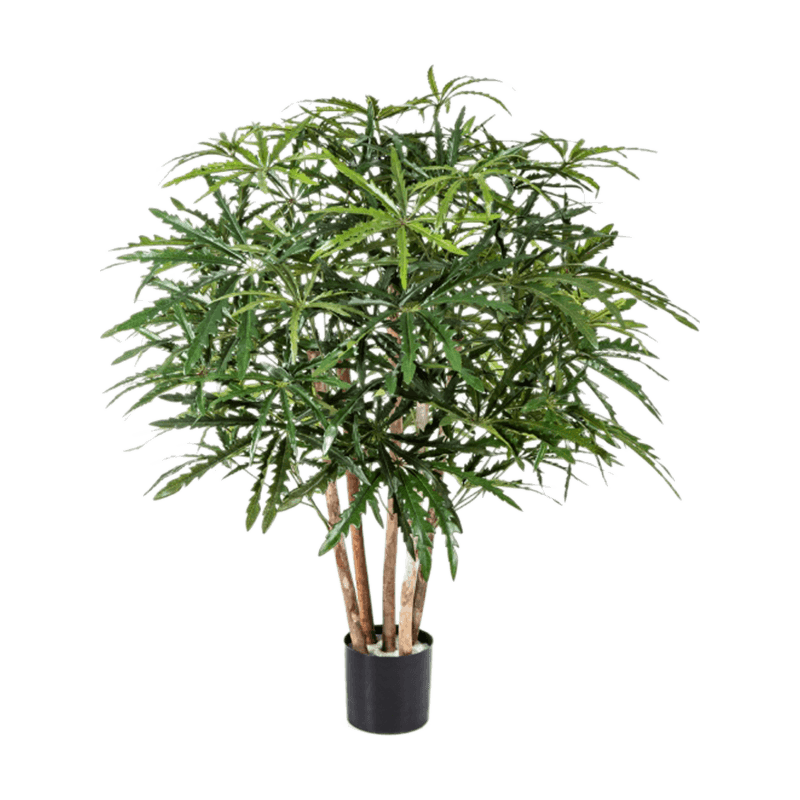 Aralia - kunstplant