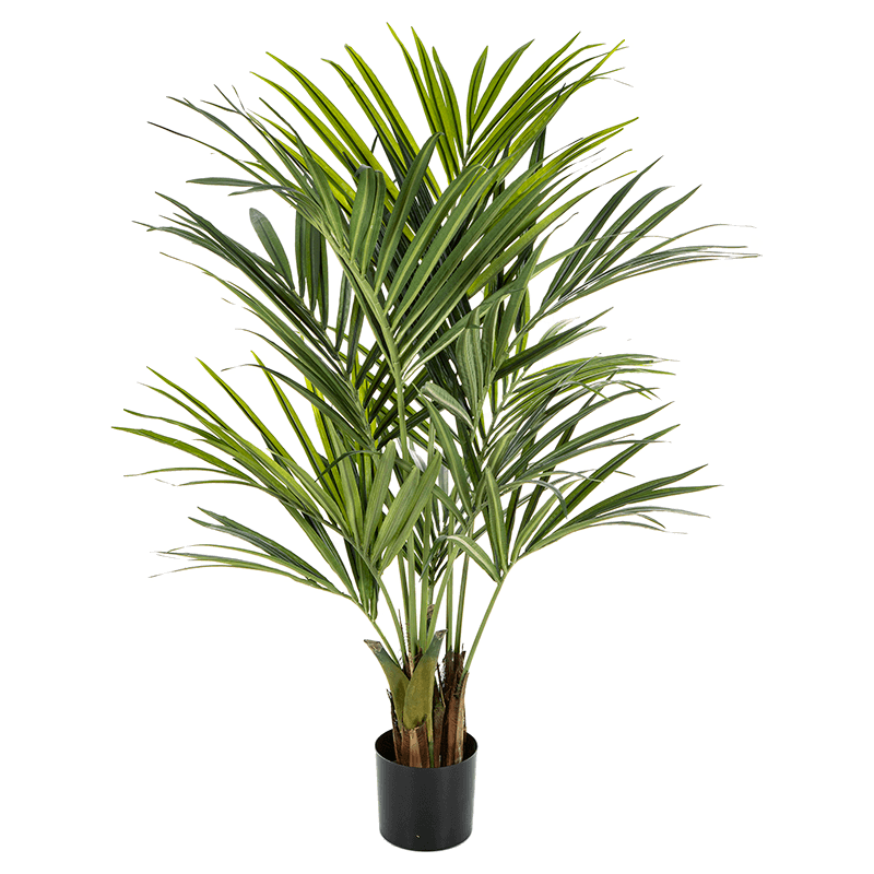 De slaapkamer schoonmaken Continent blad Kentia Palm Bush - kunstplant eenvoudig en snel online bestellen?