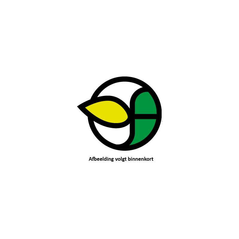 Clematis Glorious Red