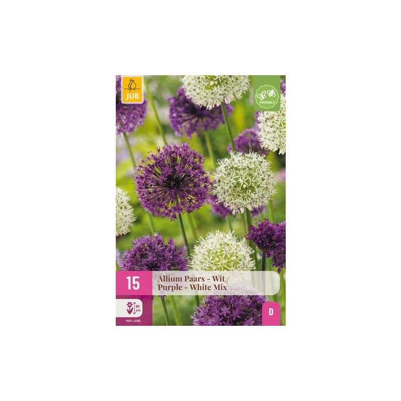 Allium Paars & Wit - 15 stuks