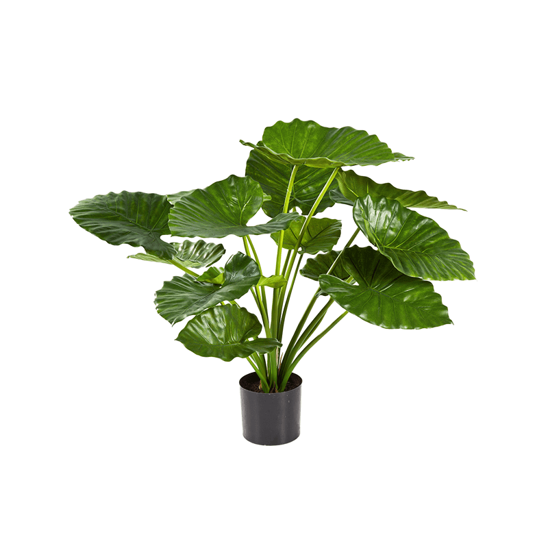 Alocasia Calidora - kunstplant