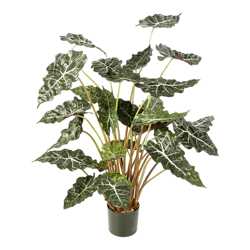 Alocasia Polly - kunstplant