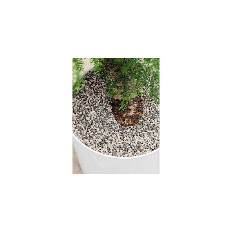 Alocasia Calidora in Polystone Rock Couple Bruin - kunstplant