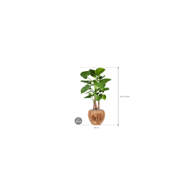 Alocasia Calidora in Facets Jenga Couple - kunstplant