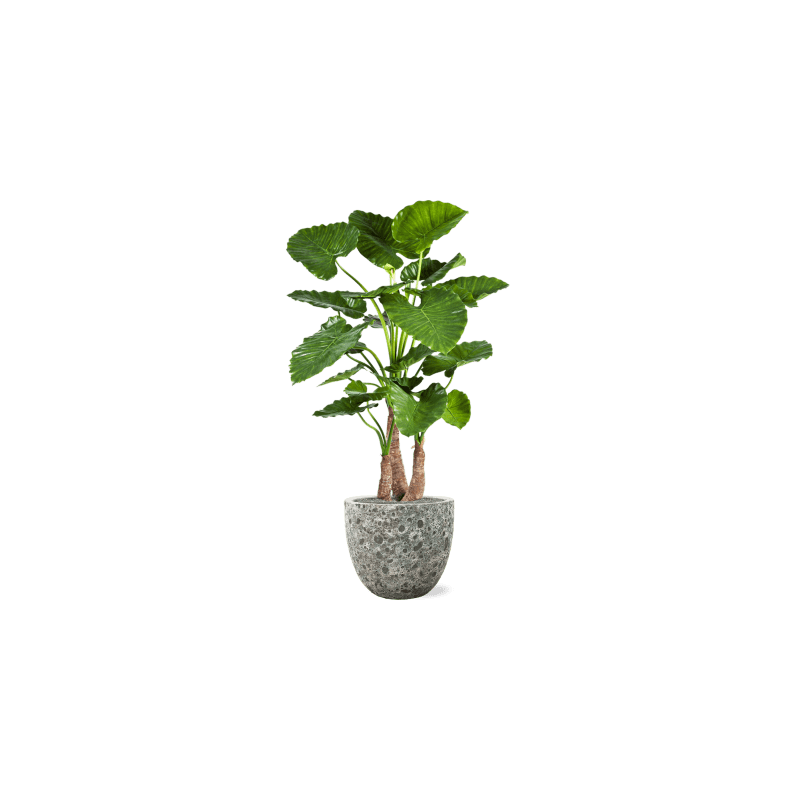 Alocasia Calidora in Vulcana Couple groen - kunstplant